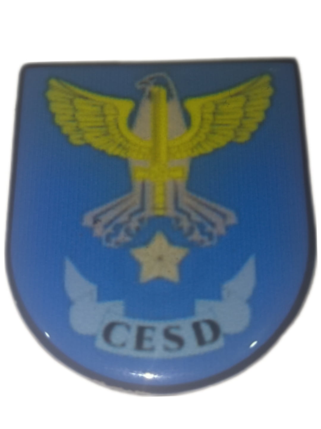 DOM CESD IMÃ. CURSO DE ESPECIALIZAÇÃO DE SOLDADO S1.