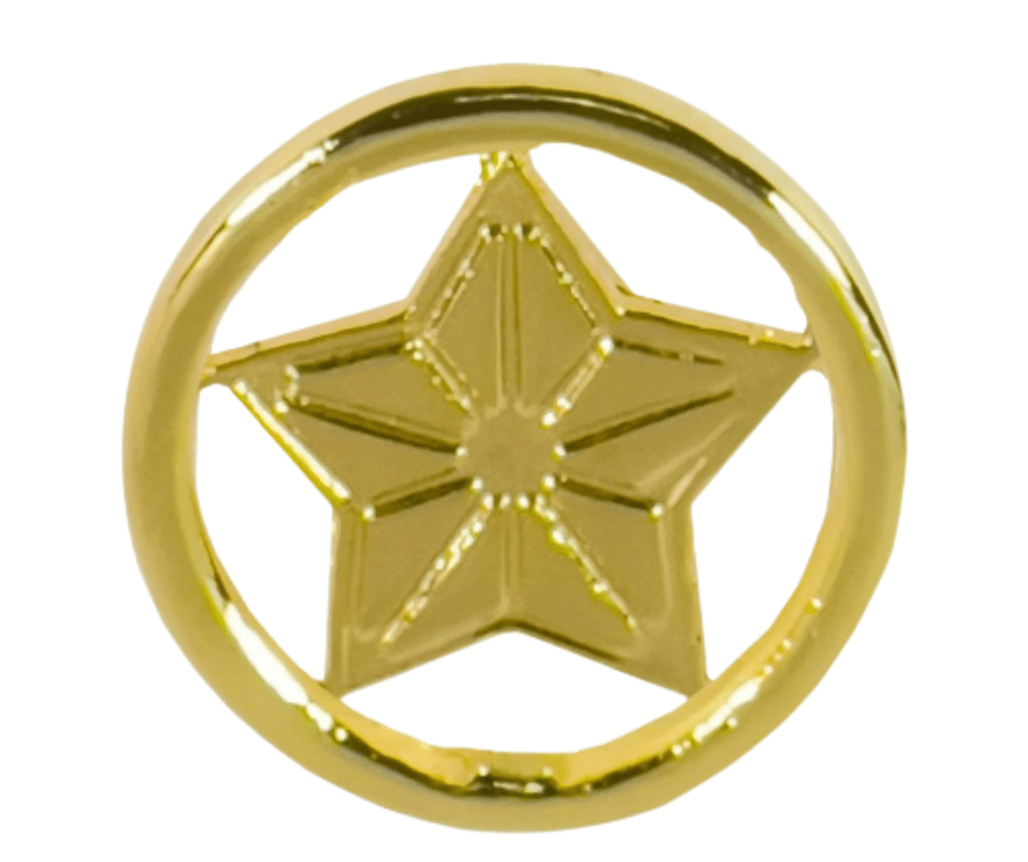 Distintivo de Gola RM2 – Quadro Técnico