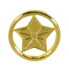 Distintivo de Gola do Quadro Técnico 